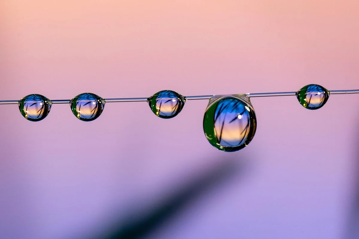 Transform Your Home: My Cat Deodoriser Cleaning Guide