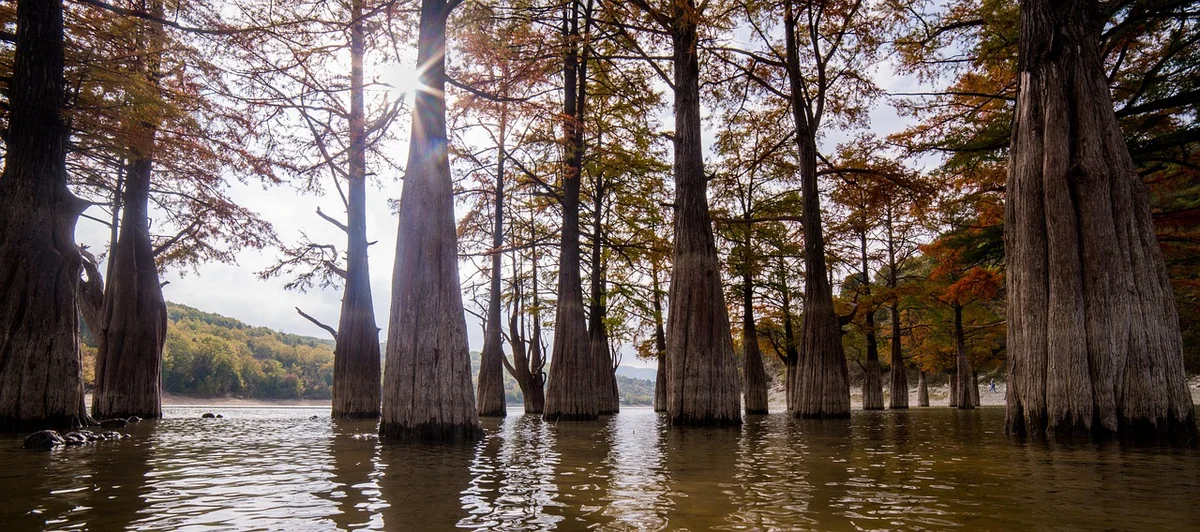 Top 10 dei migliori estrattori di succo lenti per le verdure