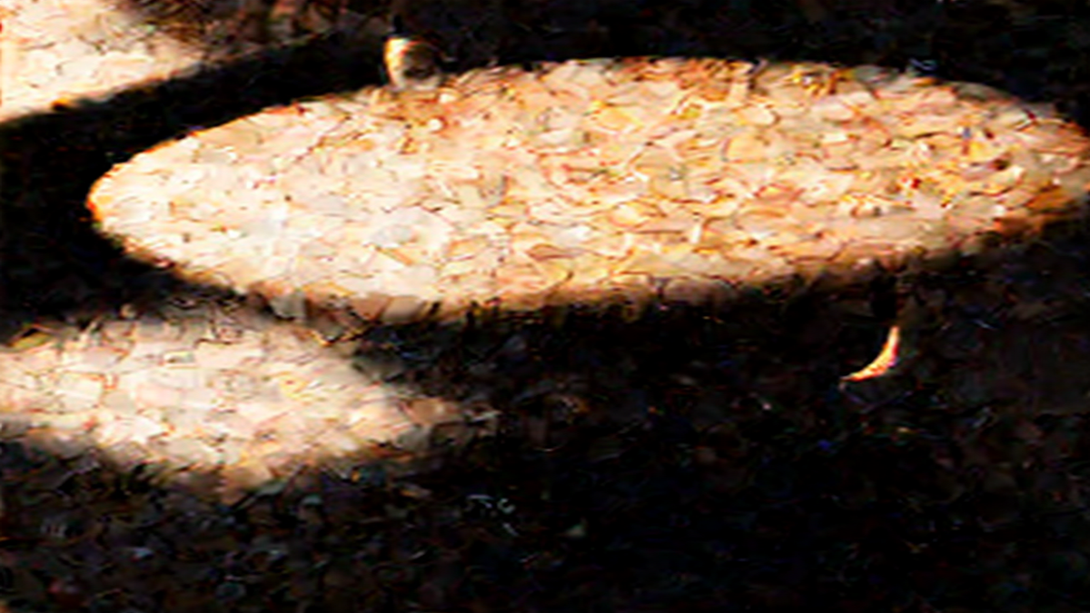 Best Office Chairs 2026: Top 3 for Comfort