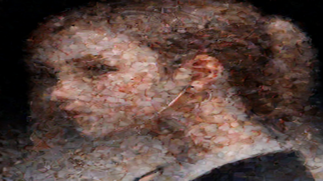 Cómo elegir auriculares para correr sin molestias