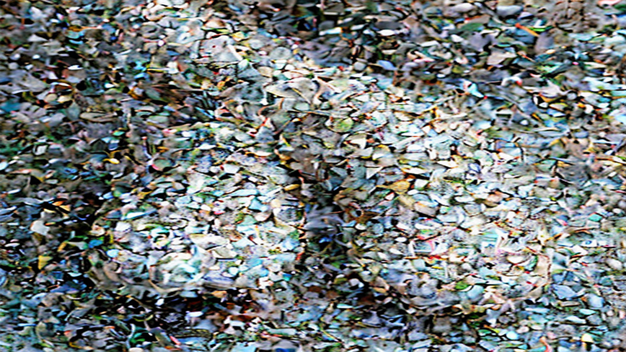 Chaussures de running vs chaussures de trail en 2026